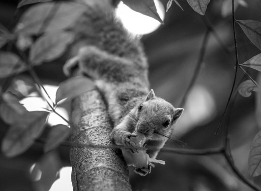 一键导出报告的ddos页端